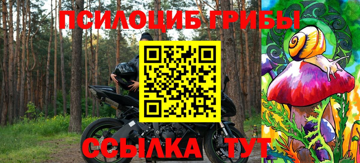 Псилоцибиновые грибы мухоморы Семилуки